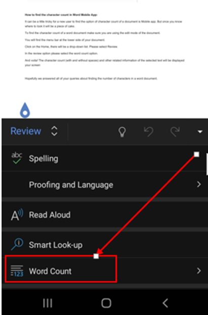 microsoft word mobile review option